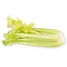 SEDANO BIANCO FRESCO